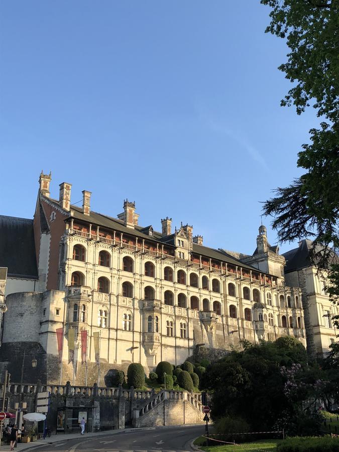 Logis Hotel Louise De Savoie Blois Esterno foto