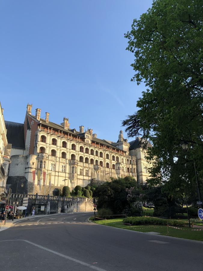 Logis Hotel Louise De Savoie Blois Esterno foto